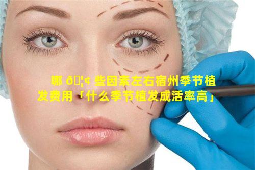 哪 🦢 些因素左右宿州季节植发费用「什么季节植发成活率高」